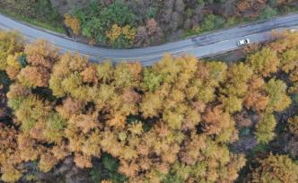 陜西省秦嶺生態(tài)環(huán)境保護條例明起實施，生態(tài)環(huán)境損害終身追責