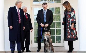 特朗普白宮嘉獎(jiǎng)軍犬柯南：地表最強(qiáng)狗