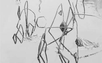 程黙：荷塘里的點(diǎn)與線