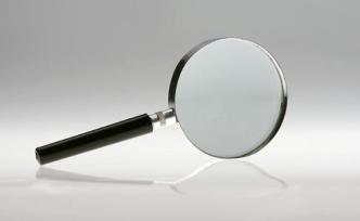 廣東佛山通報(bào)涉嫌死豬出場問題公司：禁生豬調(diào)入，停業(yè)整頓 