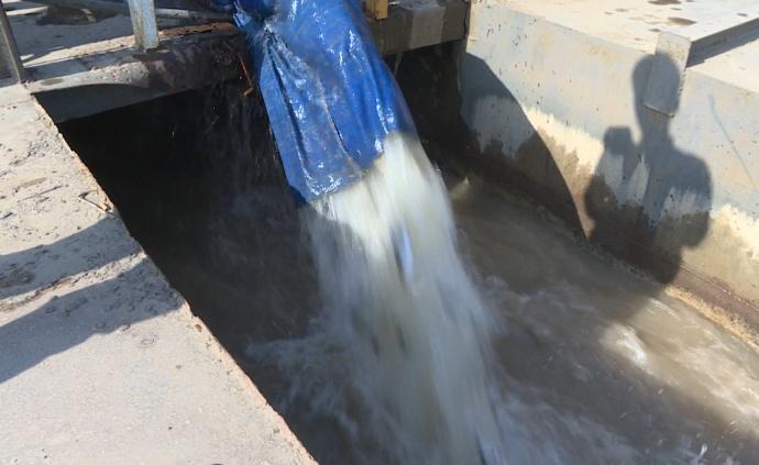 維護(hù)生態(tài)平衡，90萬尾魚苗黃河“上崗”