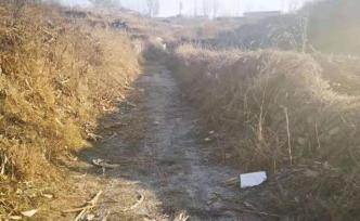 保定9歲女童上學(xué)路上被兩大狗咬死，犬主：不知狗從家中跑出