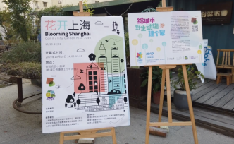 SUSAS聯(lián)合展｜花開上海：給城市野生動物建個家