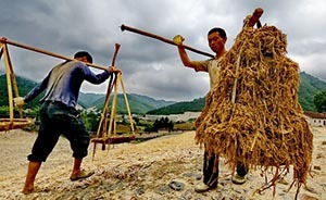 調(diào)查｜“十年以后，目前這種品質(zhì)的宣紙都難找了”