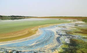 浙江余姚否认“杭州湾现七彩油污带”，疑为生活垃圾污染水库