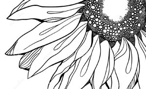 那些花兒 ——太陽花運(yùn)動(dòng)的社會(huì)心理