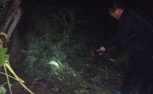 哈爾濱越獄逃犯李海偉被抓細節(jié)曝光：偷食村民玉米泄露蹤跡