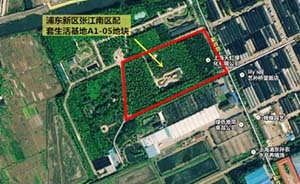 上海又賣出一塊面粉貴過面包的地，張江房價5萬你怎么想？