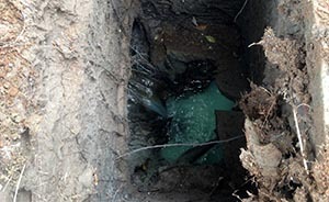 順德數百家企業排污屢查不改，廣東省領導批示后11官員被處分