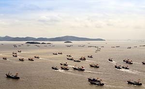 浙江渔业资源危机：捕捞赶尽杀绝，大黄鱼和乌贼基本衰竭