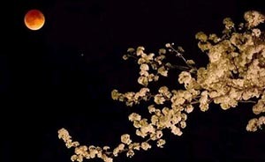 新知丨馬年農(nóng)歷有兩個(gè)“九月”，專家稱無關(guān)吉兇福禍