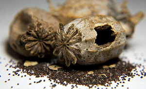 陜西男子吃面皮后尿檢呈陽性被拘，店老板承認使用罌粟殼