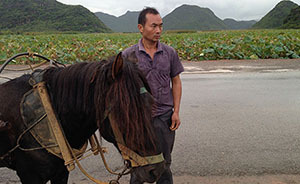 云南普者黑的拉客“瘦馬”們：拉客人嘛，累的