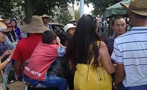 云南普者黑瘦馬傷人：景區(qū)無車送醫(yī)，黑車司機“給一百才拉”