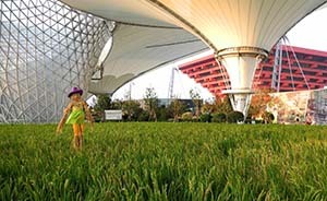 稻田、牧場、市集，5萬平米“農(nóng)莊”帶給世博源日均30萬客流