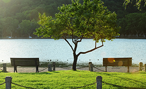 西湖减少长凳数量保持间距为恋人留私密空间，源于习近平建议