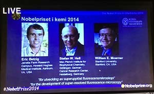 美、德3位科學家分享諾貝爾化學獎