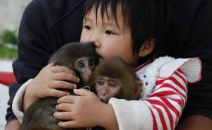 耍猴人獲罪后的新野猴戲：僅余千名藝人，街頭表演或5年消亡