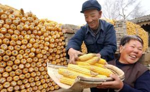 全國(guó)涉農(nóng)補(bǔ)貼一年查出20多億問題資金，經(jīng)手環(huán)節(jié)層層腐敗
