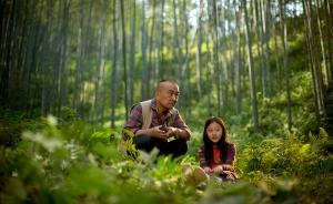 影評|看中國沖奧片《夜鶯》，耐心，要有耐心