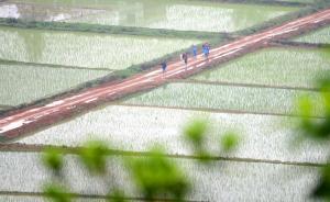 “攤大餅”式城鎮(zhèn)化受遏制，14城市周邊劃定永久基本農(nóng)田