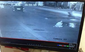 福州民警出警打野豬，子彈擊穿路邊女子肺部