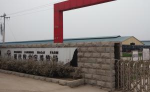 現(xiàn)代牧業(yè)涉嫌私自違規(guī)出售被淘汰帶病奶牛，警方刑拘4人