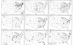 市政廳|城市是否有自己的進化論？