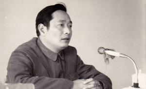 楊天石：橫生斜長這些年