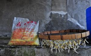 豆芽行业商定世界最严格标准，为“毒豆芽”正名仍遇诸多难题