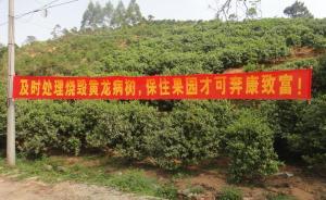 《星际穿越》中的枯萎病有中国版，人类可能失去橘子和橘子汁