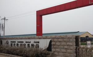 現(xiàn)代牧業(yè)“病牛門(mén)”續(xù)：旗下寶雞牧場(chǎng)部分員工染人畜共患病