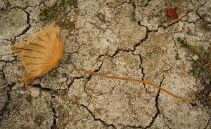 世界银行新报告：人类将面临极端天气事件等“气候新常态”