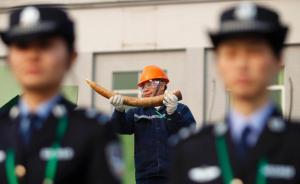 非法贩卖野生动物频现，保护法被指25年无实质修订严重滞后