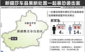 新疆莎車再發(fā)暴恐襲擊：4人遇難14人傷，11名暴徒被擊斃