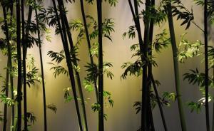 党报批某些领导干部不要名节：对美色来者不拒，有钱就是爹