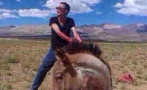 男子虐殺藏野驢網(wǎng)上炫耀獲刑3年6個月，曾在法庭流淚道歉