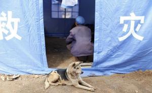 魯?shù)榈卣馂?zāi)民投訴補(bǔ)助金未到位，鎮(zhèn)政府：收集銀行卡號(hào)出問題