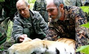 社科院教授點評年度動物新聞：普京虎咬死山羊，中央可補貼