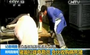 江西高安病死豬流入7省市，部分?jǐn)y帶口蹄疫病毒