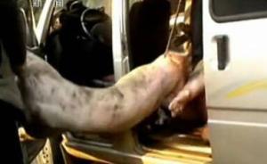 江西省長(zhǎng)痛斥高安官員麻木不仁：病死豬事件是在砸金字招牌