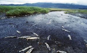 江蘇天價(jià)環(huán)境公益訴訟案終審：仍賠1.6億，可分期，可抵扣