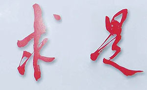 《求是》今天發(fā)表習(xí)近平談法治：五個“必須堅持”