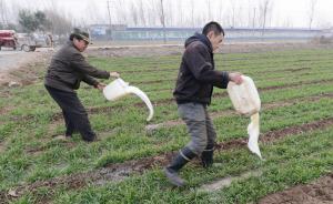 倒奶困局怎么破？專家吁國家盡快建立乳品臨時儲備制度