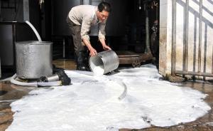 新华社心痛“倒奶杀牛”，连用5个“不袖手旁观”劝政府出手