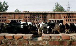 央媒载文批南充不公开问题奶粉品牌：任何秘密都比不上健康