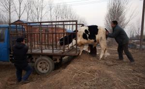 党媒：倒个牛奶，真的要与社会主义、资本主义挂钩吗？