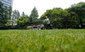 上海建“綠道”串聯(lián)綠地和公園，實(shí)施萬根高架立柱立體綠化