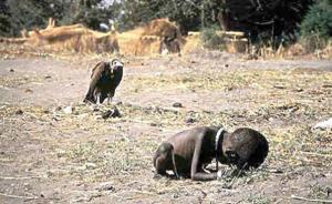 媒体或许不可爱，但真的是秃鹫么？