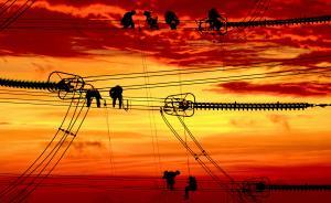 新電改“已到了需要政治智慧的時候”：電網(wǎng)調(diào)度大權(quán)在握